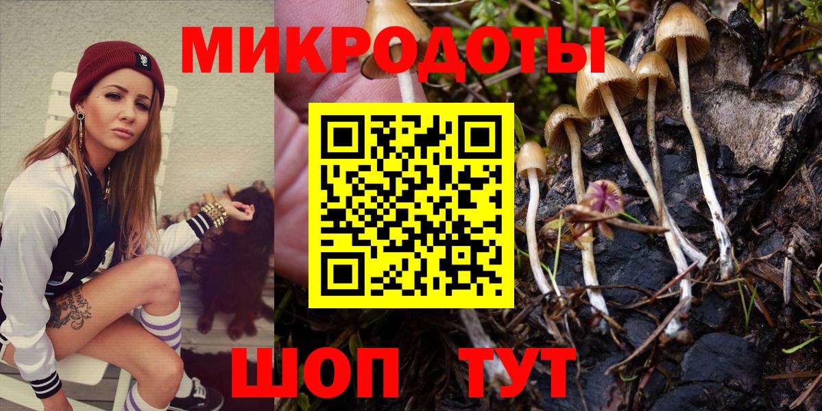 Псилоцибиновые грибы Magic Shrooms Тара