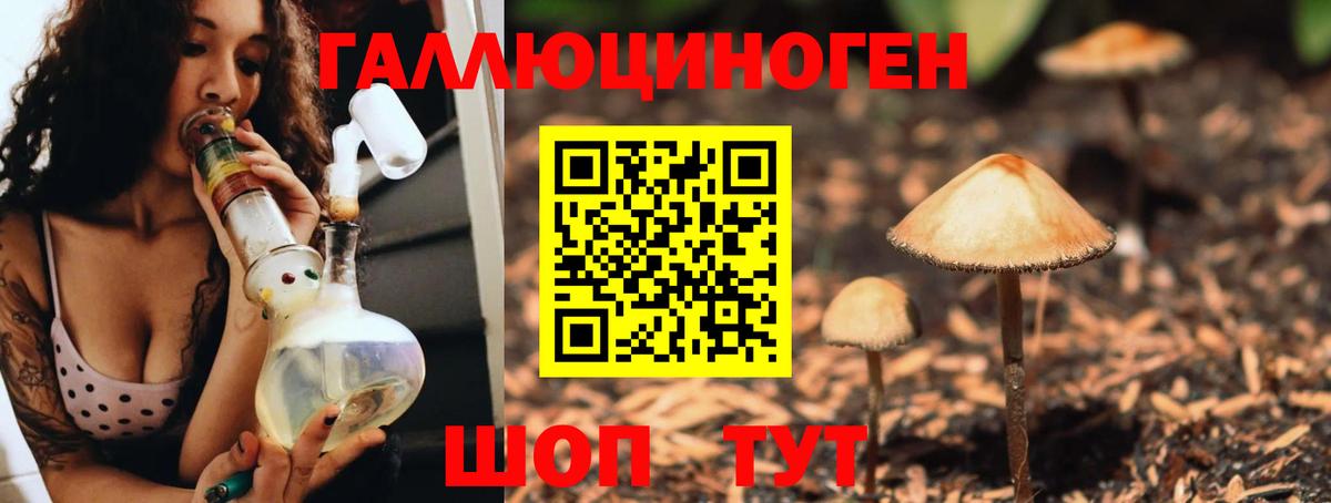 Псилоцибиновые грибы Psilocybe  Вход с VPN  Тара 