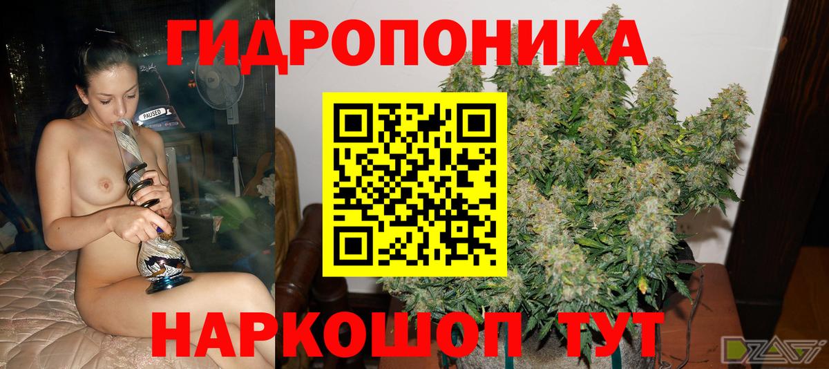 Каннабис план Тара